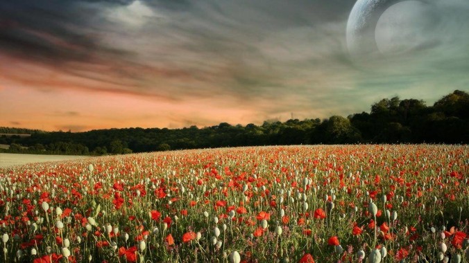 如何看待时下被部分网民力推的&ldquo;双输好过单输&rdquo;观念？